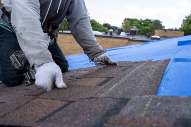 Best Roof Restoration Services  in Frederickson, WA