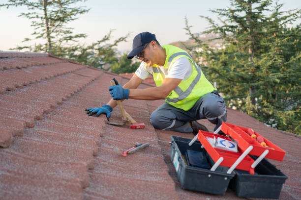 Best New Roof Installation  in Frederickson, WA